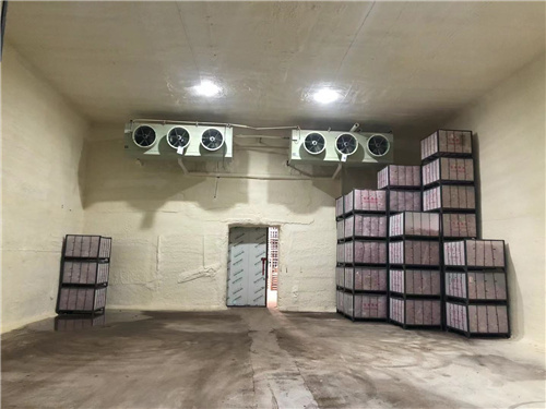 爱体育登录入口_爱体育（中国）
苹果冷库安装案例